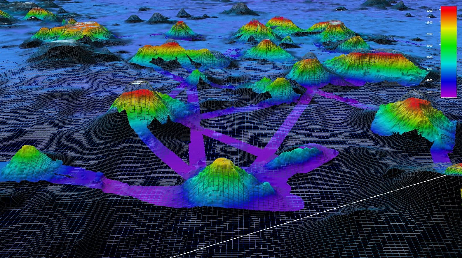 Seamounts rendered in color from sonar data, rising above a dark wireframe grid showing the shape those same seamounts were predicted to have from satellite data